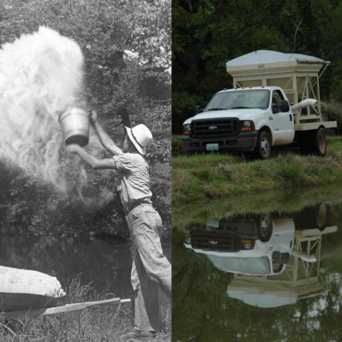 Ozark Fisheries Feeding Then and Now