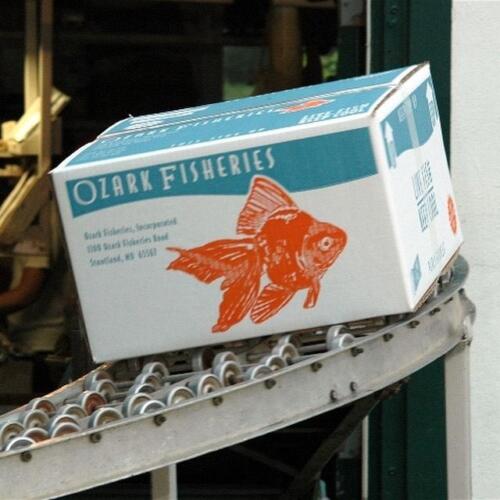 Ozark Fisheries boxes